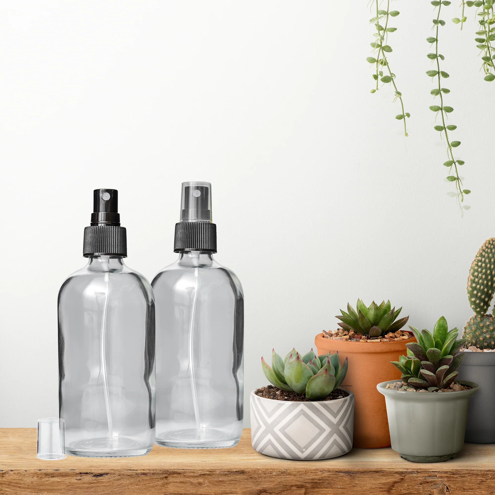 2 Clear Glass 8 oz Bottles with Fine Mist Sprayer | BPA- and Lead-Free