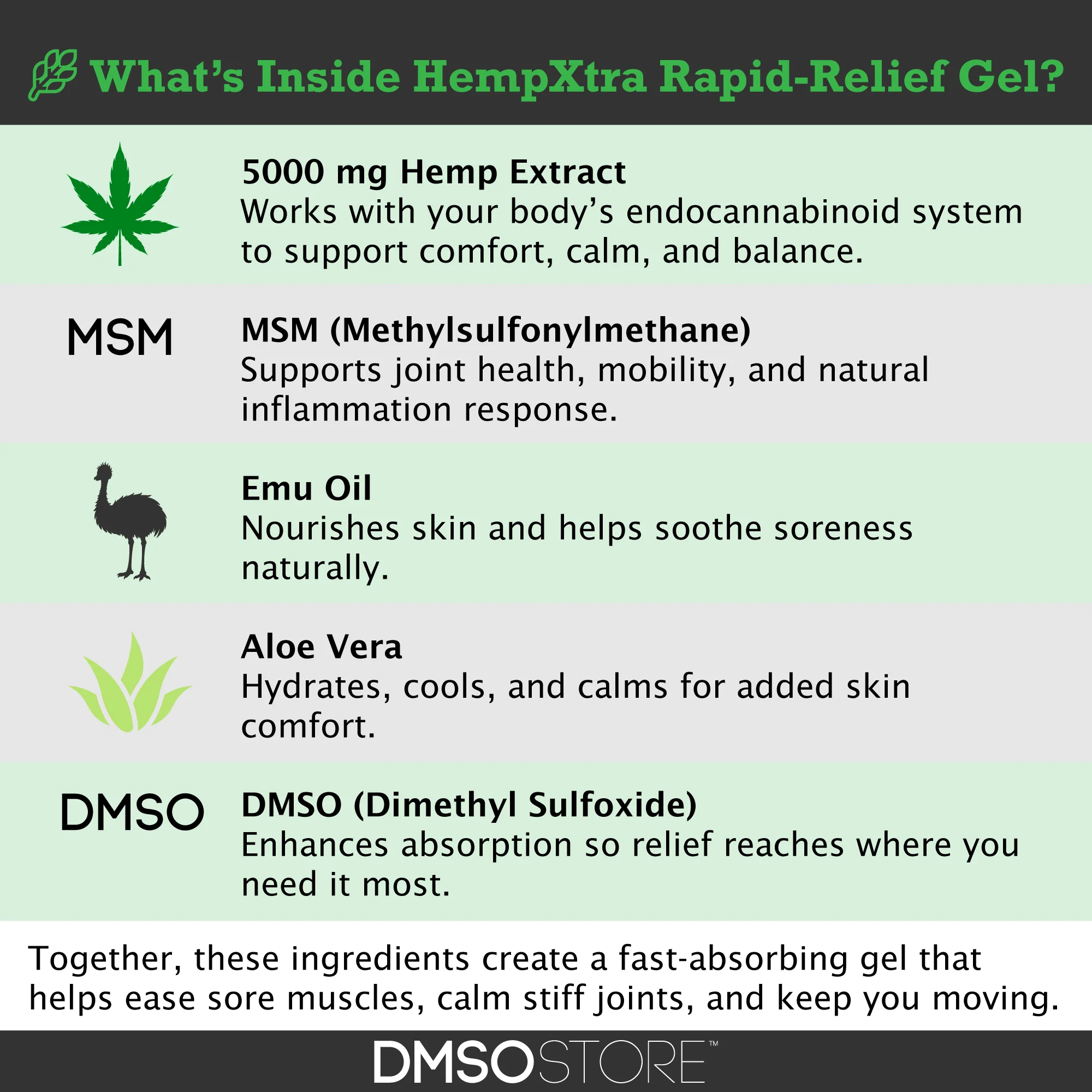 HempXtra Rapid Relief Gel 4 oz Natural Hemp Extract - Image 4